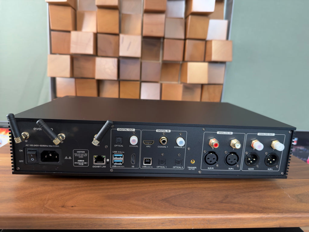 Eversolo DMP-A8 rear panel connections