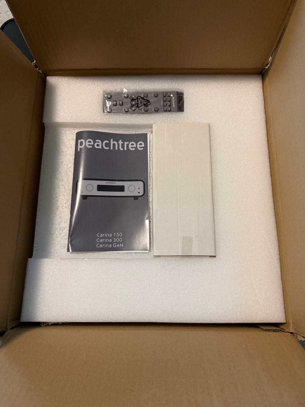 Peachtree Audio Carina GaN — Open box